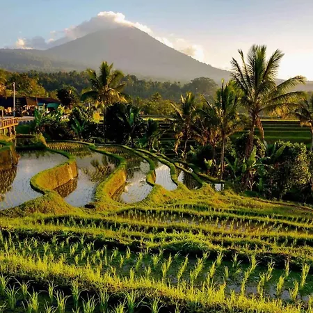 Dedari Lodge Jatiluwih Rice Fields