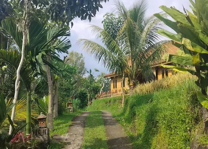 Dedari Rice Fields Villa