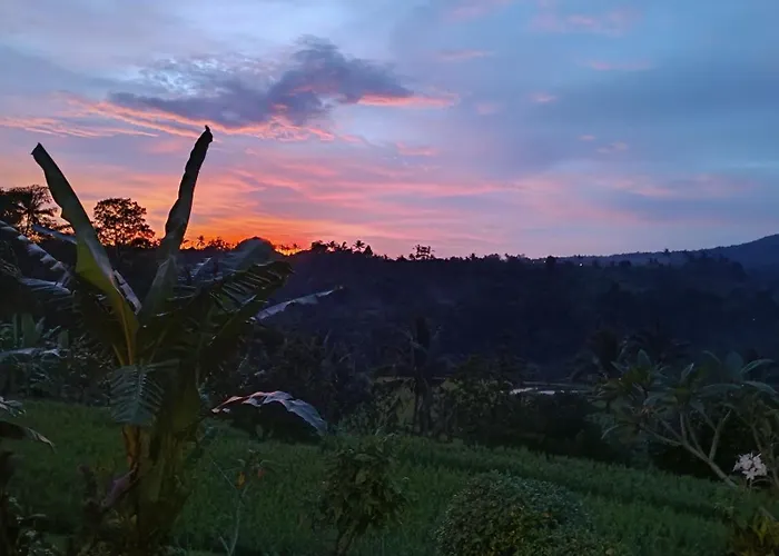 Villa Dedari Rice Fields *