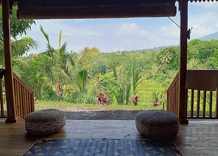Dedari Rice Fields *