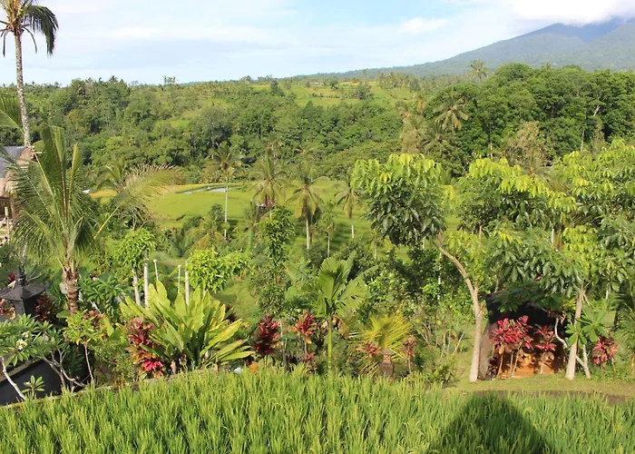 Dedari Rice Fields Villa *