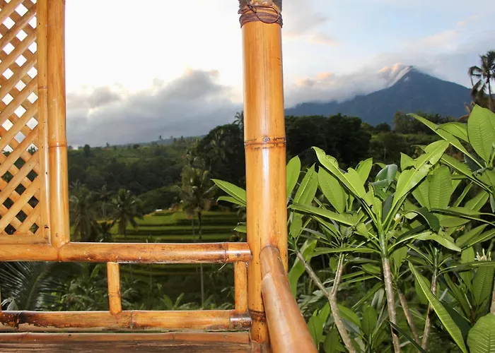 Villa Dedari Rice Fields *