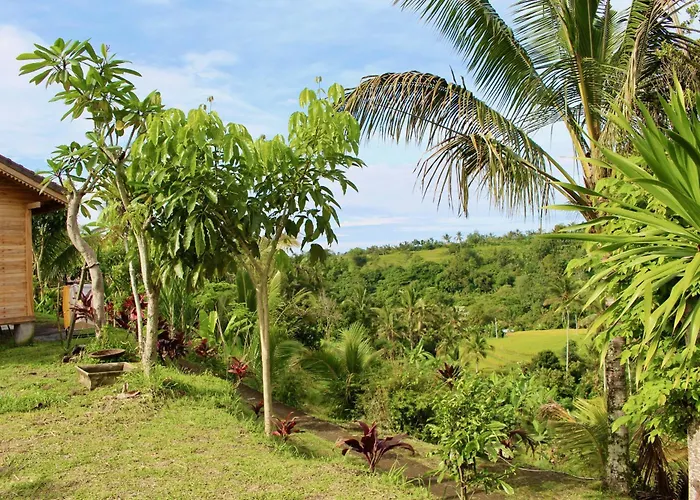 Villa Dedari Rice Fields Jatiluwih