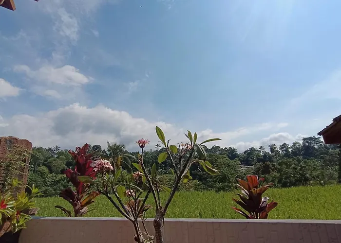 Villa Dedari Rice Fields *
