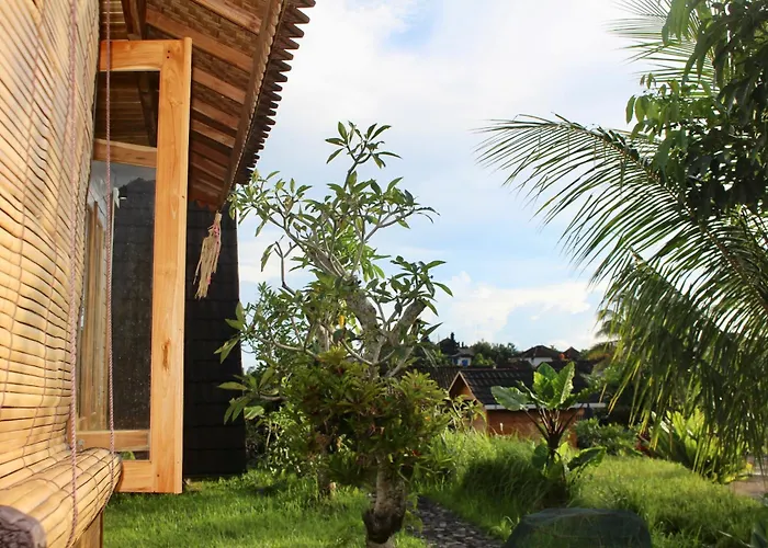 Villa Dedari Rice Fields