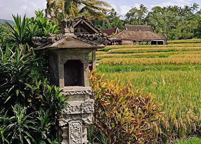 Dedari Rice Fields Villa *